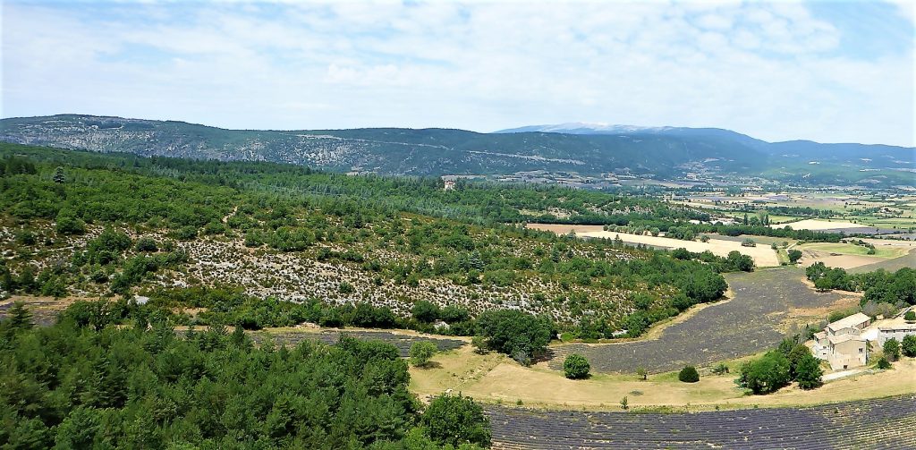 Aussichtspunkt bei St. Jean mit Blick auf den Mont Ventoux